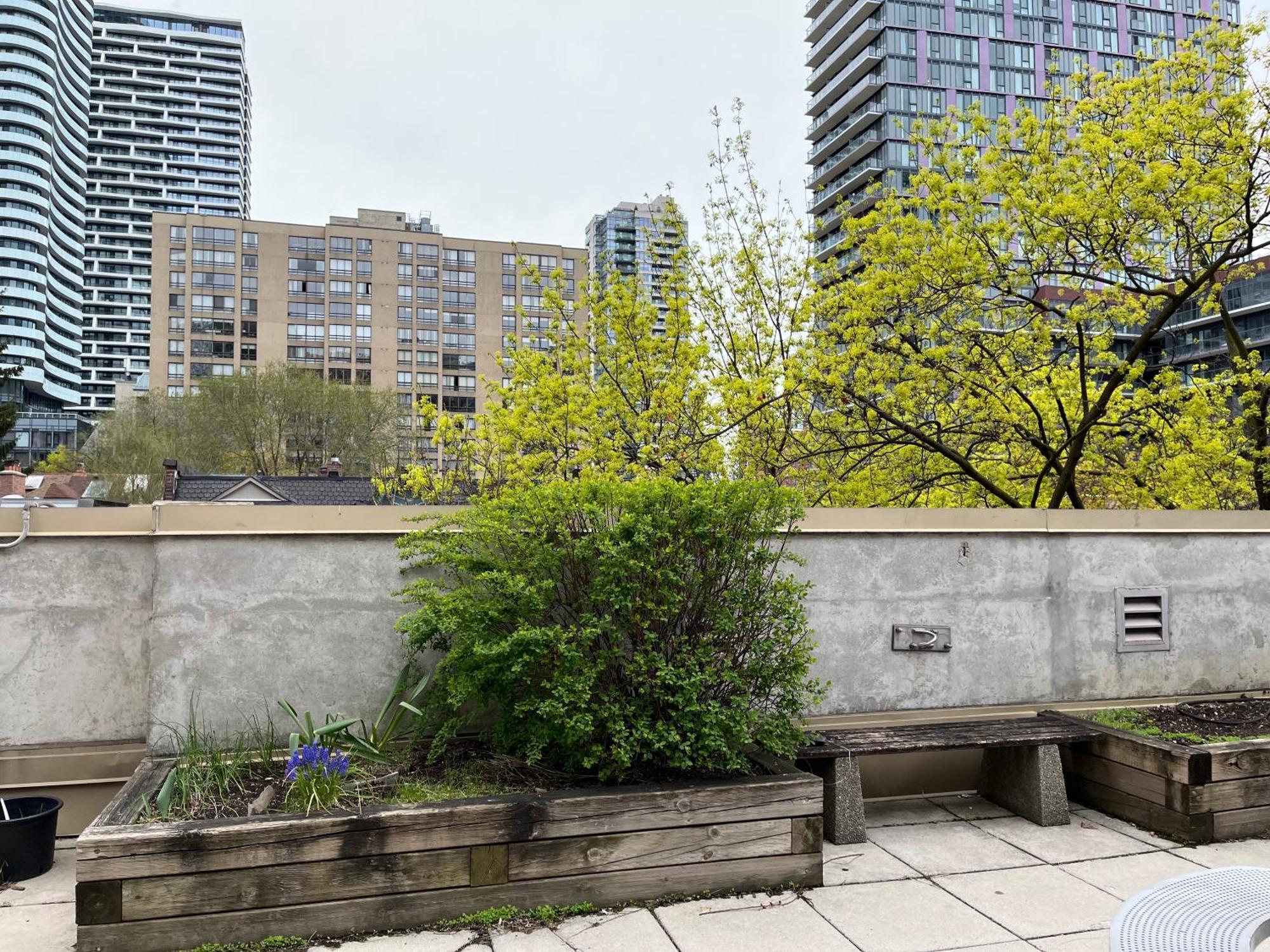 Neill Wycik Hotel Toronto Kültér fotó